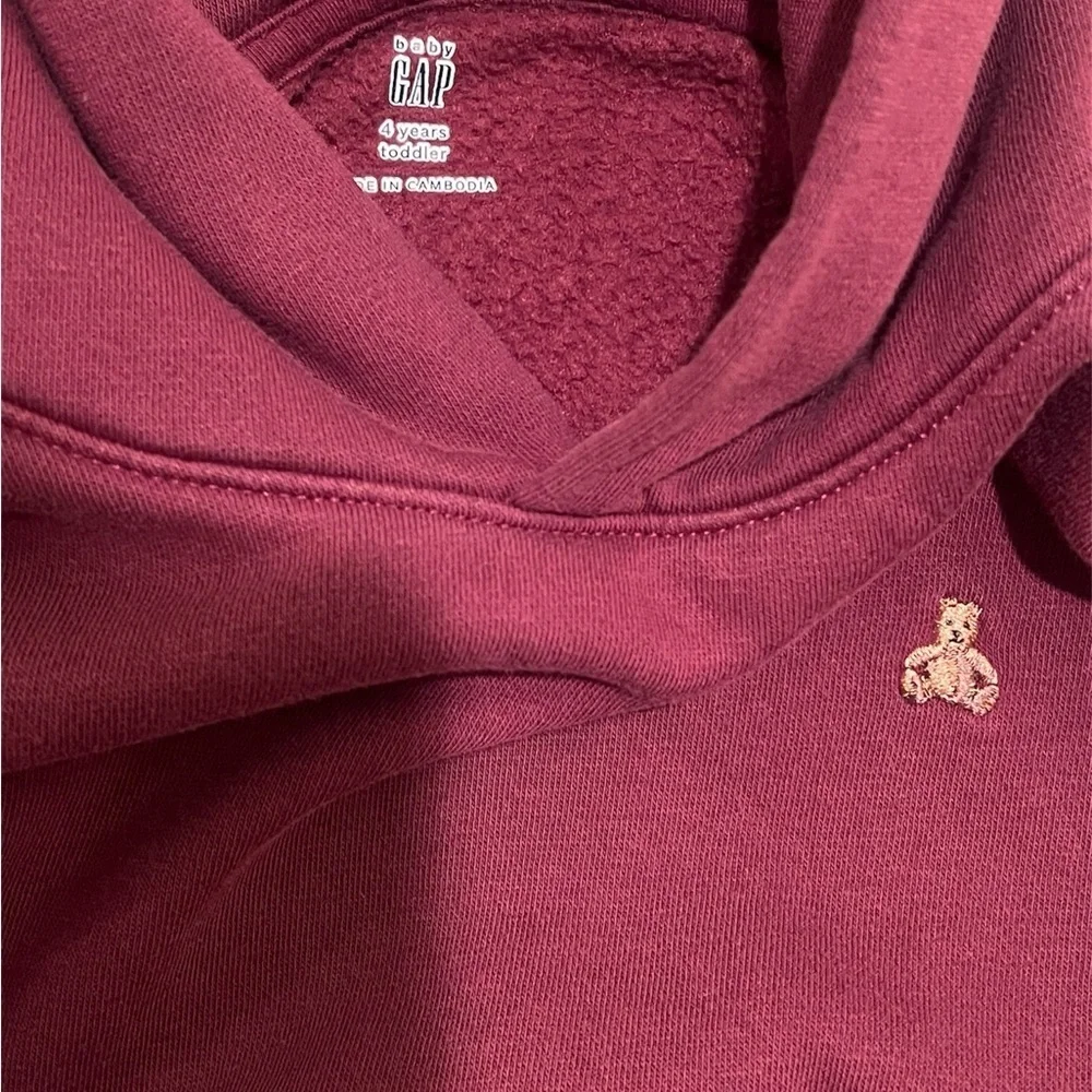 Toddler boys Baby Gap Hoodie